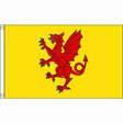Somerset new county flag with red dragon on yellow, 5ft x 3ft