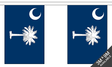 South Carolina 3 metre bunting, 10 flags - Flagmania