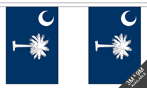 South Carolina 3 metre bunting, 10 flags - Flagmania