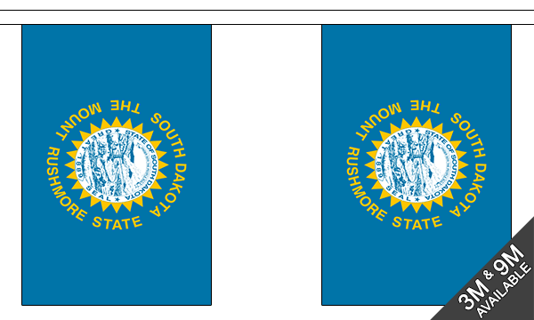 South Dakota 3 metre bunting, 10 flags - Flagmania