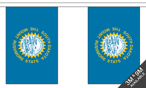 South Dakota 3 metre bunting, 10 flags - Flagmania