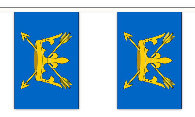 Suffolk New 3 metre bunting, 10 flags - Flagmania