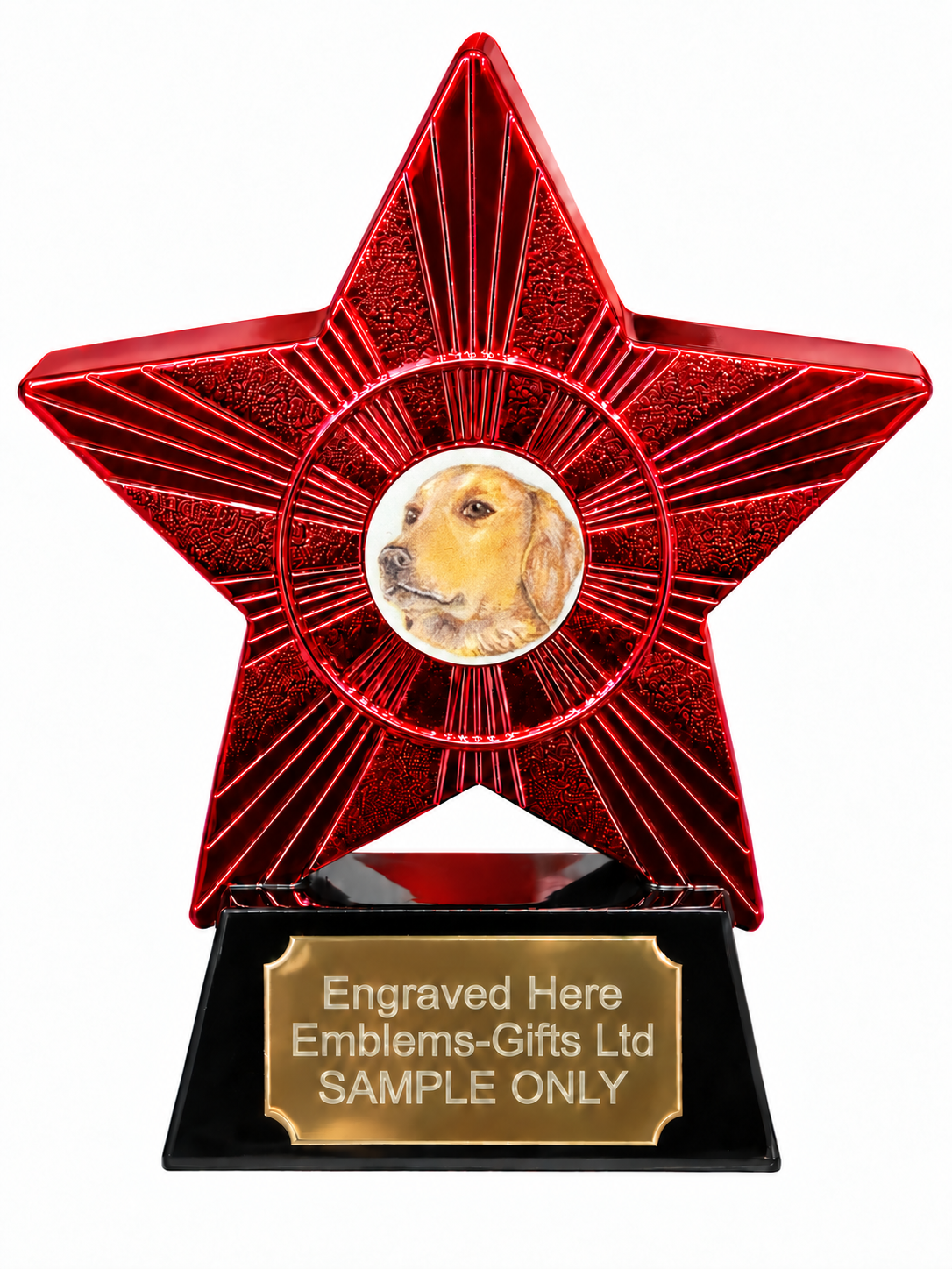Red Superstar Golden Dog Portrait Resin Trophy 140 x 125mm (A4)