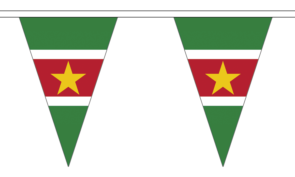 Flagmania Suriname 5 metre bunting