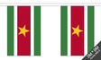 Flagmania Suriname Bunting, 9 metre bunting
