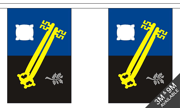 Surrey Old 3 metre bunting, 10 flags - Flagmania