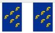 Flagmania Sussex Bunting, 9 metre bunting