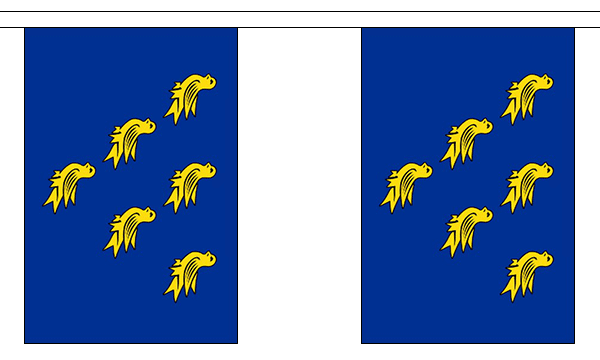 Flagmania Sussex Bunting, 9 metre bunting