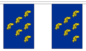 Flagmania Sussex Bunting, 9 metre bunting