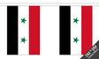 Syria 3 metre bunting, 10 flags - Flagmania