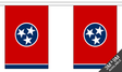 Tennessee 3 metre bunting, 10 flags - Flagmania