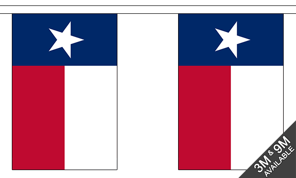 Texas 3 metre bunting, 10 flags - Flagmania