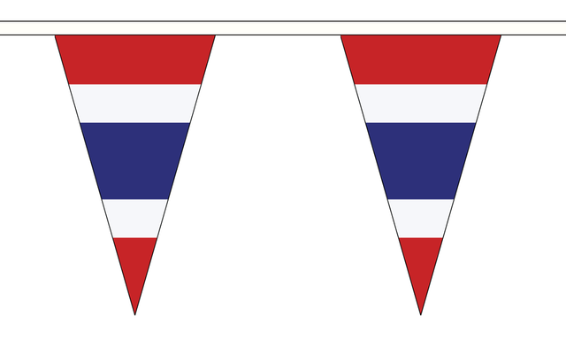 Flagmania Thailand Triangle Bunting 20 metre bunting