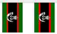 The Rifles 3 metre bunting, 10 flags - Flagmania