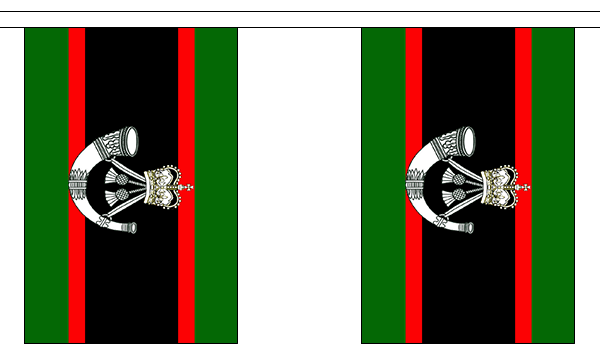 The Rifles 3 metre bunting, 10 flags - Flagmania
