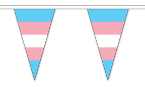 Transgender (New) Triangle 12 metre bunting by Flagmania