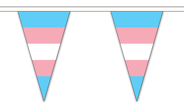 Transgender (New) Triangle 12 metre bunting by Flagmania