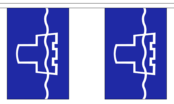 Tyne and Wear 3 metre bunting, 10 flags - Flagmania