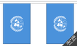 United Nations 3 metre bunting, 10 flags - Flagmania