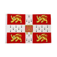 University of Cambridge flag with four gold lions and central book centred on white