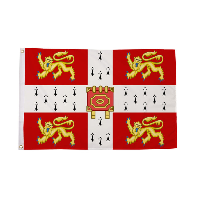 University of Cambridge flag with four gold lions and central book centred on white