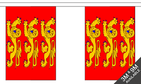 Upper Normandy 3 metre bunting, 10 flags - Flagmania