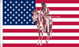 Flagmania USA Indian Horse 5ft x 3ft Polyester Flag