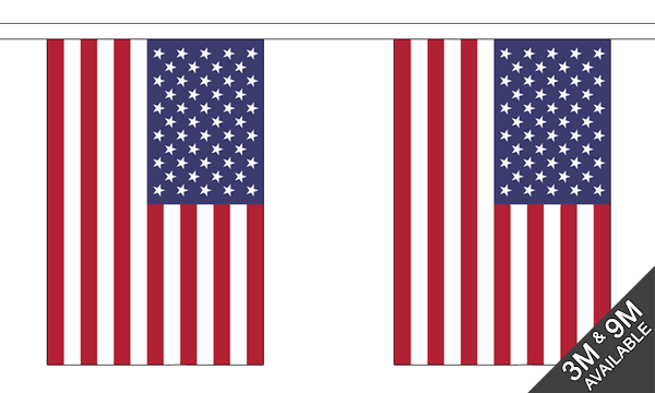 USA 3 metre bunting, 10 flags - Flagmania