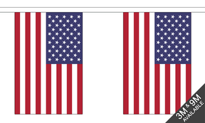 USA 3 metre bunting, 10 flags - Flagmania