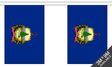 Flagmania Vermont Bunting, 9 metre bunting