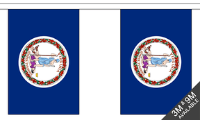 Virginia 3 metre bunting, 10 flags - Flagmania