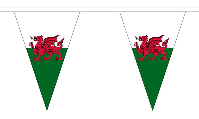 Flagmania Wales 5 metre bunting