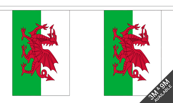 Flagmania Wales Bunting, 9 metre bunting