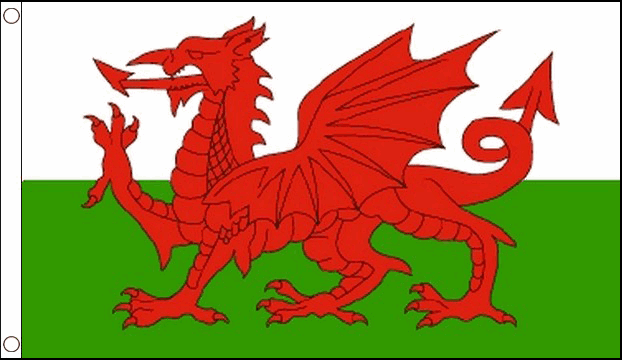 Flagmania Wales 3ft x 2ft Nylon Flag on white background