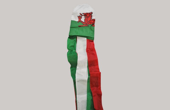 Flagmania Wales Windsock