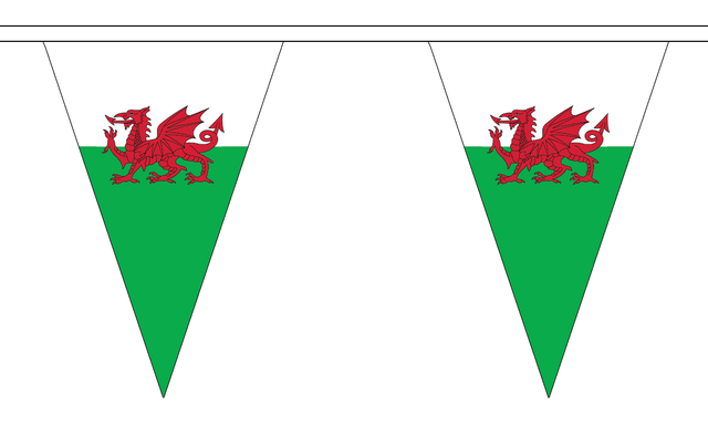 Flagmania Wales Triangle Bunting 20 metre bunting
