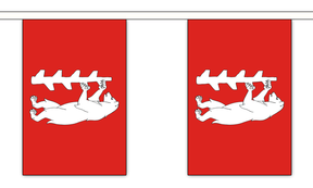 Flagmania Warwickshire New Bunting, 9 metre bunting