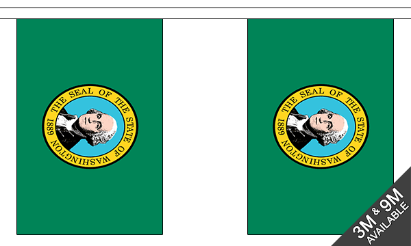 Washington 3 metre bunting, 10 flags - Flagmania