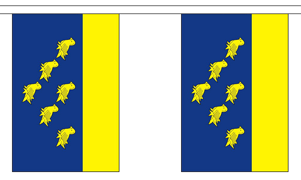 West Sussex 3 metre bunting, 10 flags - Flagmania