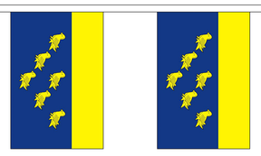 Flagmania West Sussex Bunting, 9 metre bunting