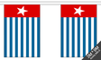 Flagmania West Papua Bunting, 9 metre bunting