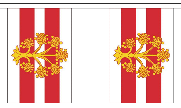 Flagmania Westmorland Bunting, 9 metre bunting