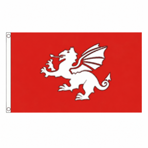 English White Dragon C Flag – 5ft x 3ft centred on white background