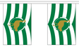Wiltshire New 3 metre bunting, 10 flags - Flagmania