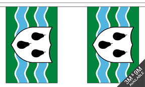 Flagmania Worcestershire (New) Bunting, 9 metre bunting