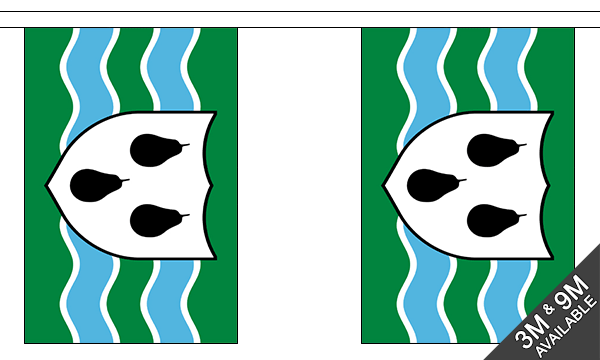 Flagmania Worcestershire (New) Bunting, 9 metre bunting