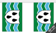 Worcestershire (New) 3 metre bunting, 10 flags - Flagmania