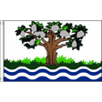 Worcestershire Old flag with pear tree and blue and white waves, 5ft x 3ft