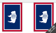 Flagmania Wyoming Bunting, 9 metre bunting