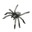 English-made pewter spider figurine ornament with eight textured legs, front top view